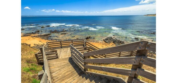 From Melbourne: Phillip Island Penguin Parade Tour - Tour Details