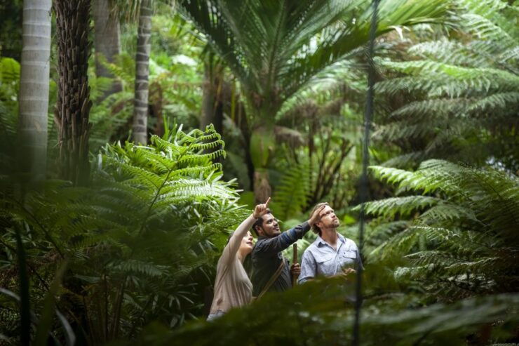 From Melbourne: Private Great Ocean Road 12 Hour Tour - Pickup Locations and Pricing Details