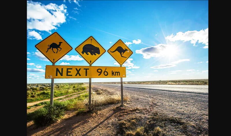 From Melbourne: Private Great Ocean Road Tour with Pickup - A Deep Dive into the Experience