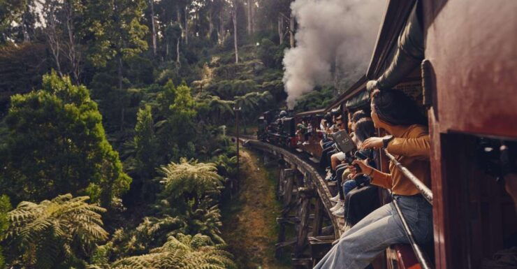 From Melbourne: Puffing Billy & Moonlit Sanctuary Tour - Tour Highlights