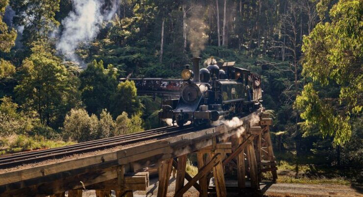 From Melbourne: Puffing Billy & Moonlit Sanctuary Tour - Itinerary Details