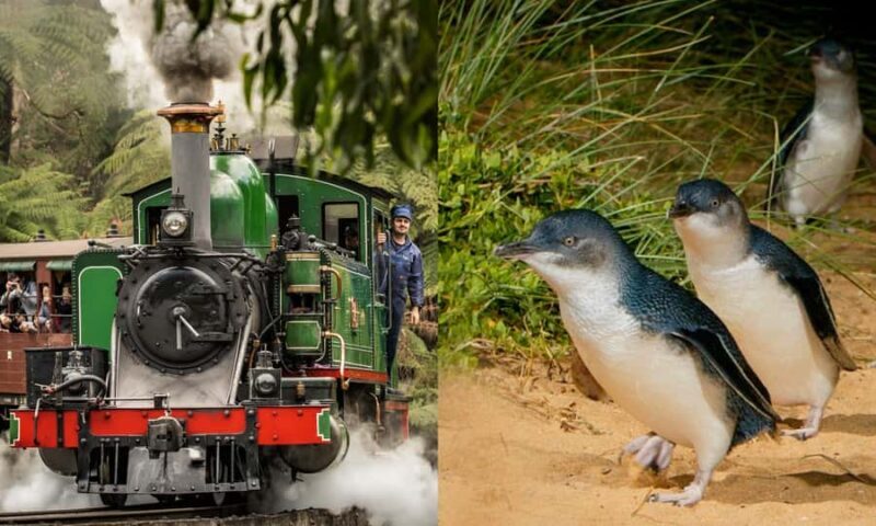 From Melbourne: Puffing Billy & Penguins Combo Tour Package - Good To Know