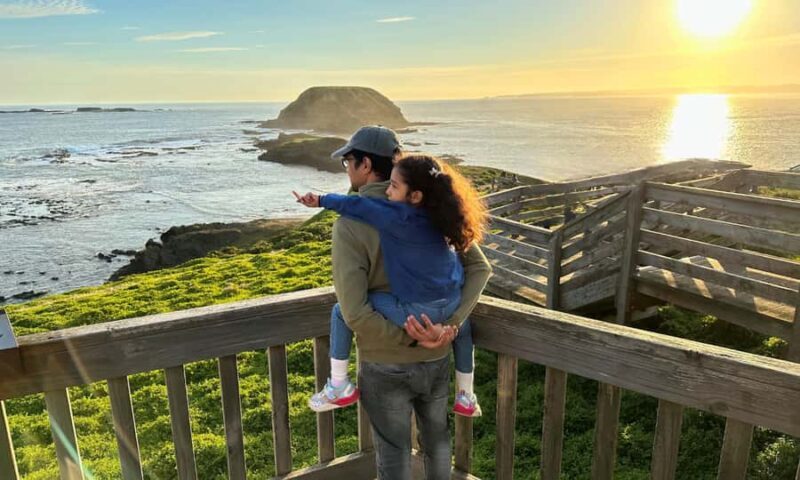 From Melbourne: Puffing Billy & Penguins Combo Tour Package - Final Thoughts