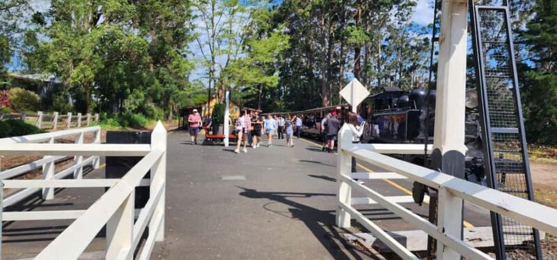 From Melbourne: Puffing Billy Private Tour - Up to 11 pax - What to Expect During the Day