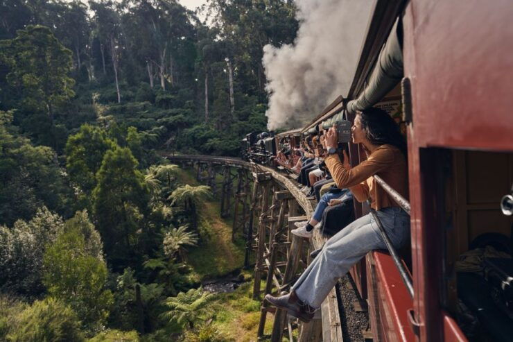 From Melbourne: Puffing Billy Steam Train & Wildlife Tour - Experience Highlights