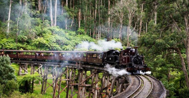 From Melbourne: Puffing Billy Steam Train & Wildlife Tour - Common Questions