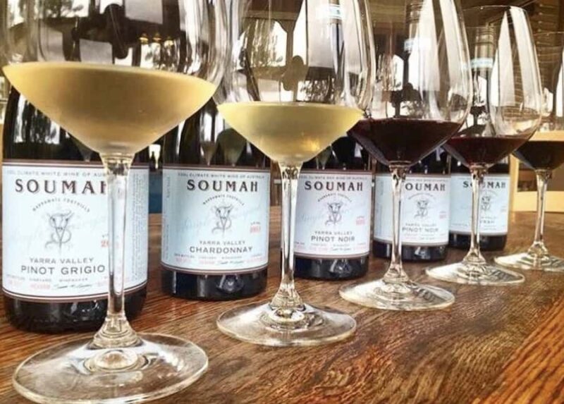 From Melbourne: Redwoods Forest & Yarra Valley Wine Tour - Introduction