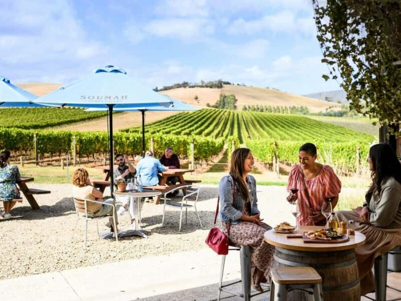 From Melbourne: Redwoods Forest & Yarra Valley Wine Tour - Transport, Group Size, and Practicalities