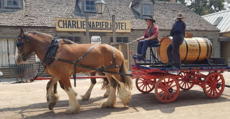From Melbourne: Sovereign Hill & Ballarat Gold Mine Tour - Tour Details