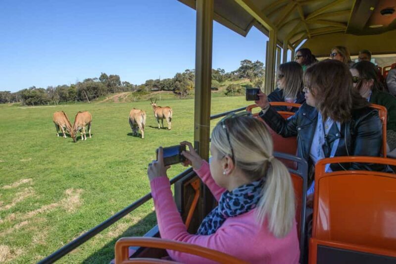 From Melbourne: Werribee Open Range Zoo & Werribee Mansion - From Melbourne: Werribee Open Range Zoo & Werribee Mansion — A Complete Experience