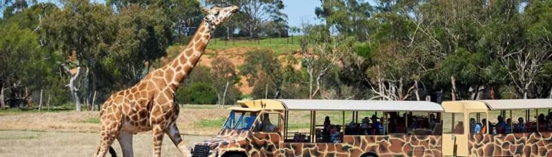 From Melbourne: Werribee Open Range Zoo & Werribee Mansion - FAQs
