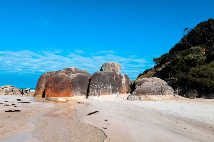 From Melbourne: Wilsons Promontory Day Tour - Tour Highlights