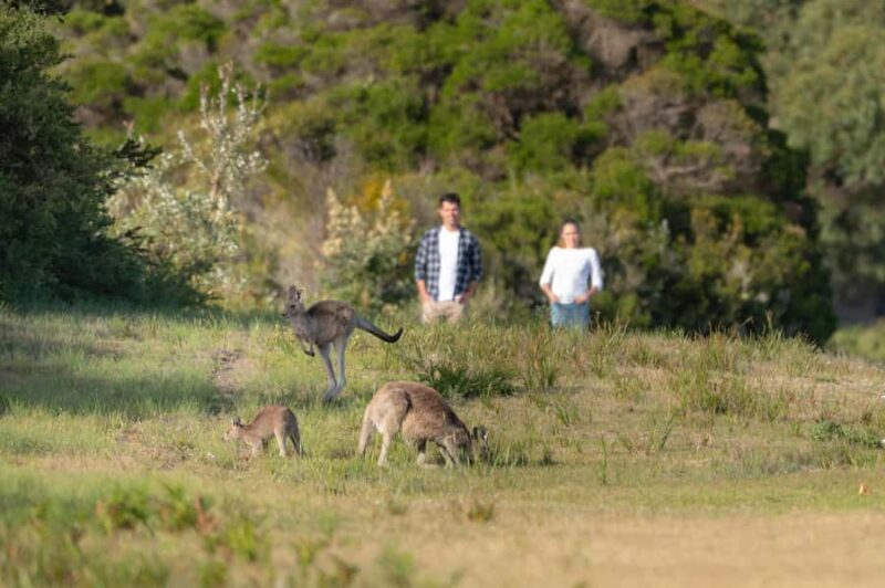 From Melbourne: Wilsons Promontory Wilderness Tour - Guides and Personal Touches