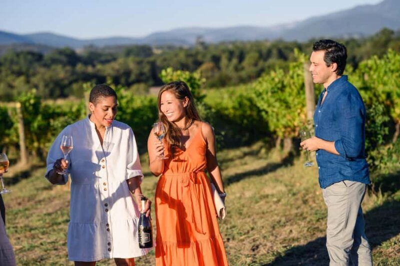 From Melbourne: Yarra Valley Chandon Cheese & Kangaroos Tour - Good To Know