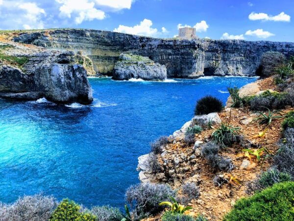 From Mellieha: Three Bay Cruise Including the Blue Lagoon - Customer Reviews and Ratings