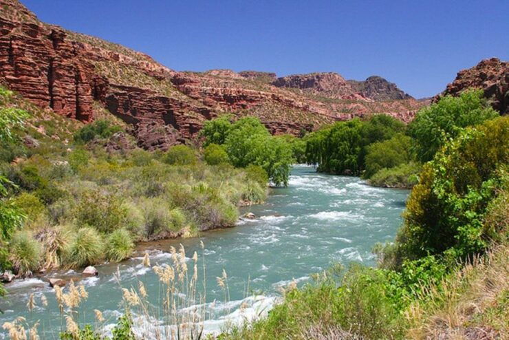 From Mendoza: San Rafael Sightseeing and Atuel Canyon Tour - Tour Details