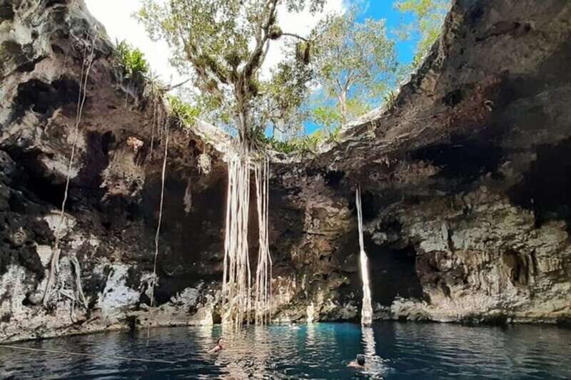From Merida: 3 Cenotes - Authentic Insights from Reviews