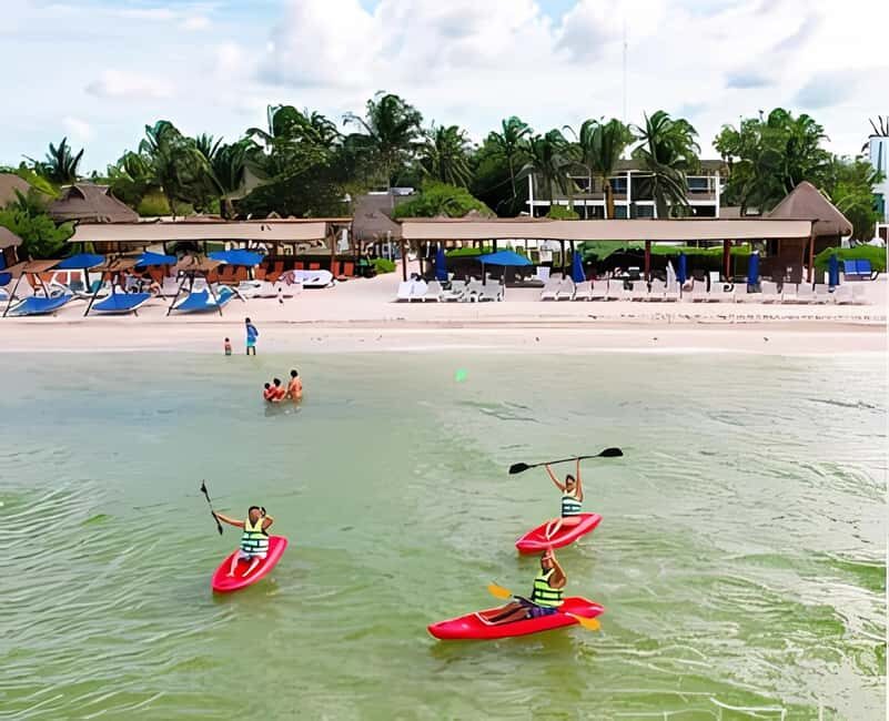 From Merida: Beach, Mangrove and something more - Good To Know