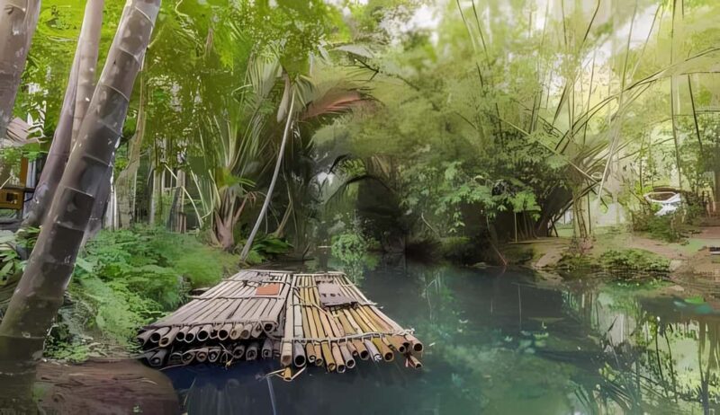 From Merida: Beach, Mangrove and something more - Exploring the Itinerary in Detail