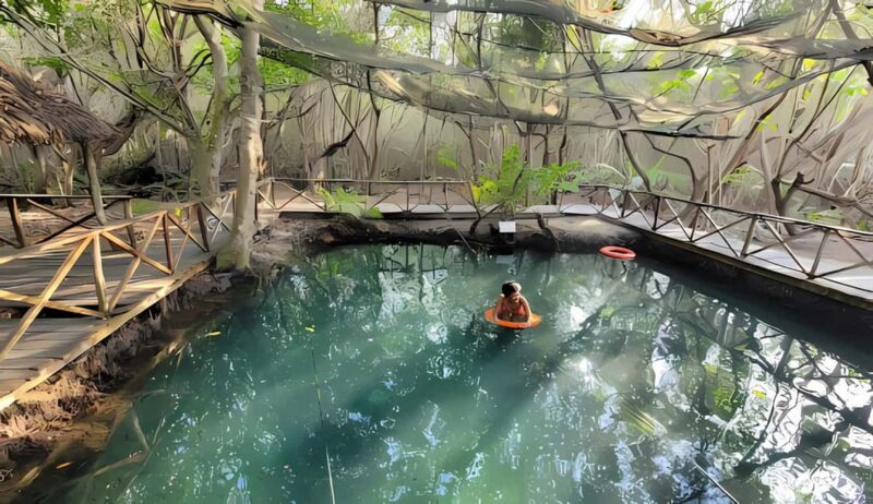 From Merida: Beach, Mangrove and something more - Analyzing the Value