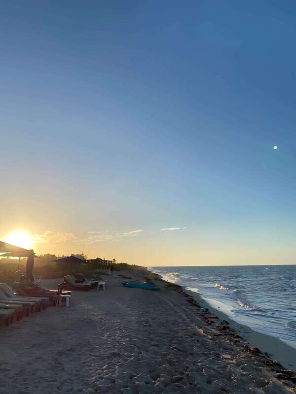 From Merida: Beach, Mangrove and something more - Who Will Love This Tour?