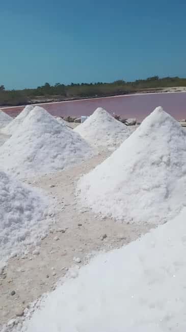 From Merida: Beach, Mangrove and something more - FAQ