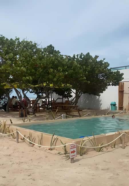 From Mérida: Beach Tour - An In-Depth Look at the Mérida Beach Tour