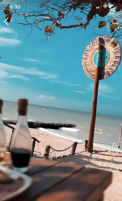 From Mérida: Beach Tour - Authentic Experiences and Real-World Insights