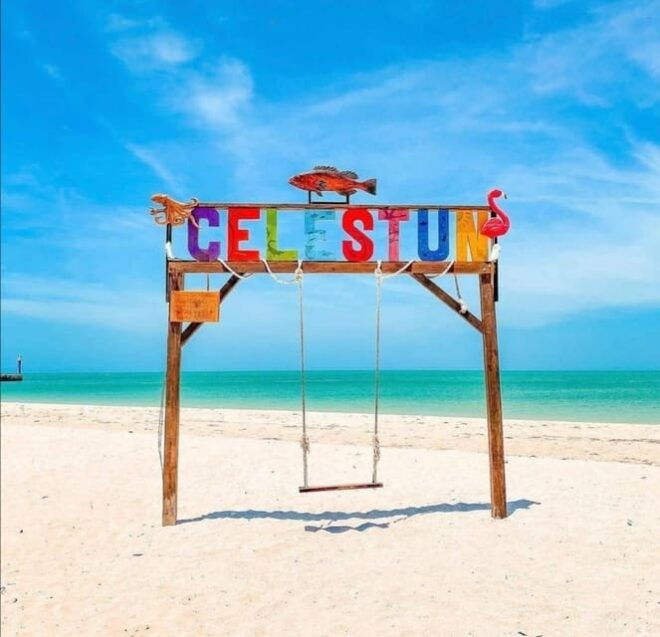 From Merida: Celestun Biosphere Reserve Day Trip - Important Information