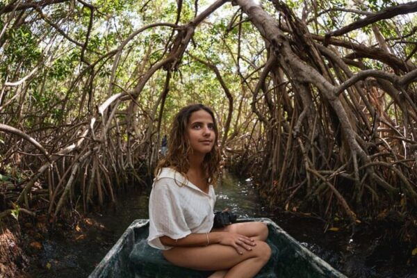 From Merida: Celestun Biosphere Reserve Day Trip - Pricing and Booking