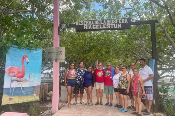 From Merida: Celestun Biosphere Reserve Day Trip - Meal and Dining