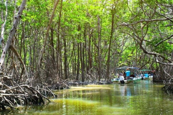 From Merida: Celestun Biosphere Reserve Day Trip - Frequently Asked Questions