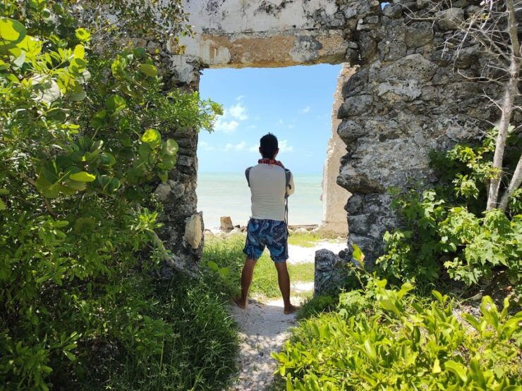 From Mérida: Celestún Flamingo Watching Tour With Lunch - Itinerary and Experience