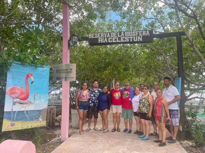 From Mérida: Celestún Flamingo Watching Tour With Lunch - Important Information