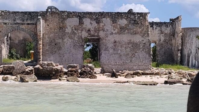 From Mérida: Celestún Flamingo Watching Tour With Lunch - Frequently Asked Questions