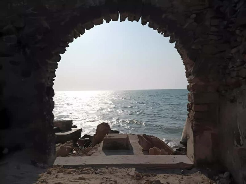 From Merida: Celestun, flamingos and beach - Good To Know  