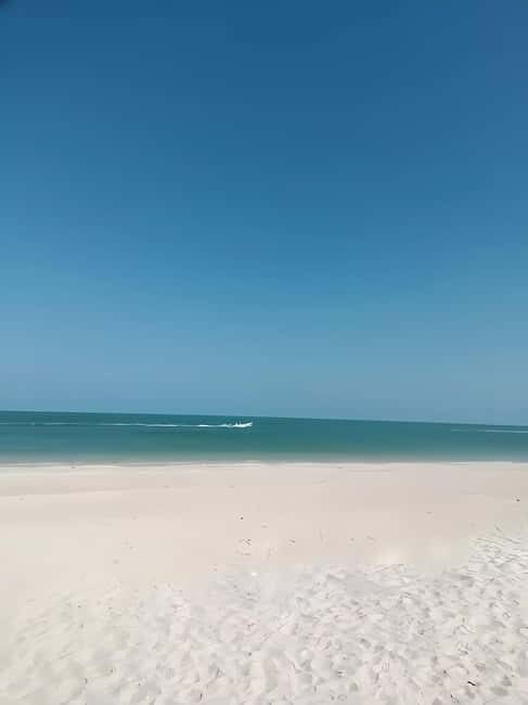 From Merida: Celestun, flamingos and beach - The Sum Up: Is This Tour Worth It?