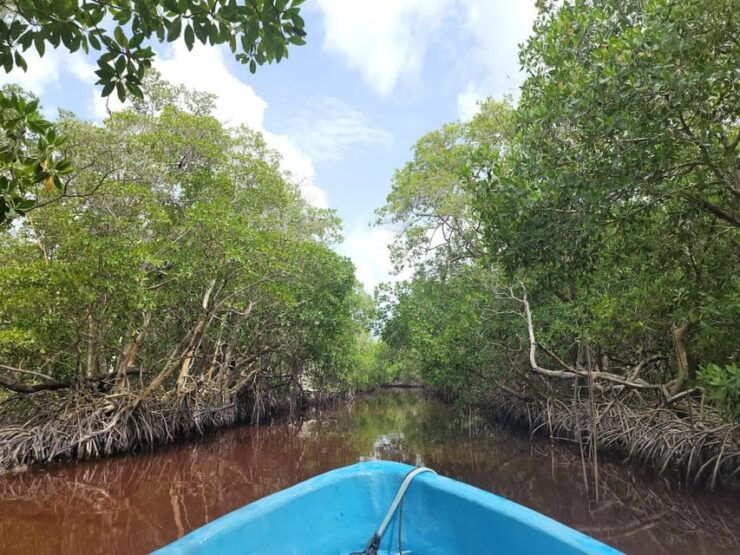 From Merida: Celestún, Salt Lakes, and Beach Day - Itinerary and Activities