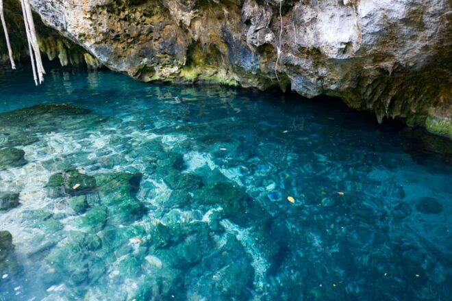 From Merida: Chichén Itzá, Cenotes & Izamal Private Day Trip - Savor Yucatecan Cuisine