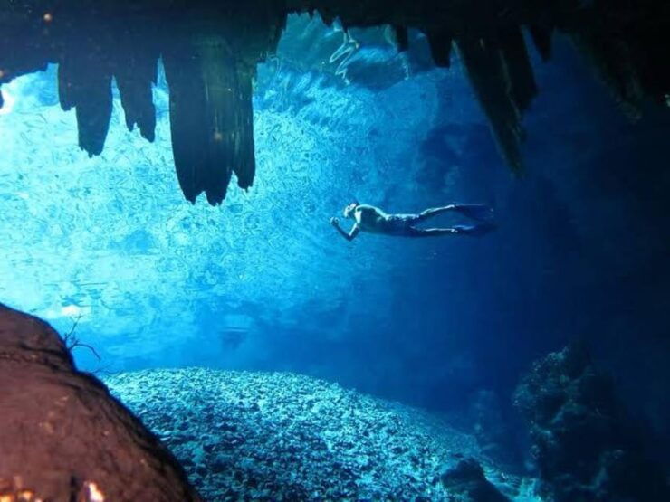 From Mérida: Discover 4 Magical Cenotes + Typical Lunch - Cenote Experience