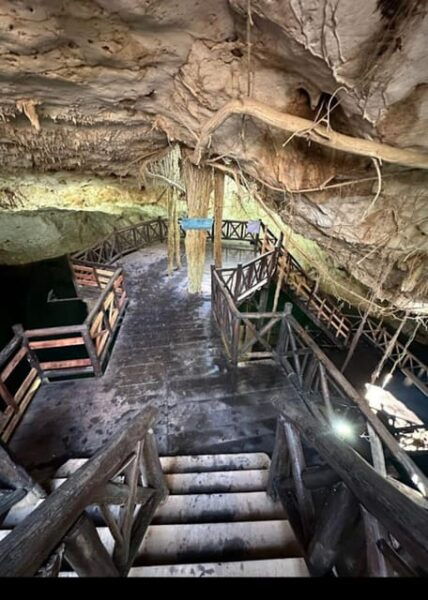 From Mérida: Discover 4 Magical Cenotes + Typical Lunch - Exploring the Cenotes
