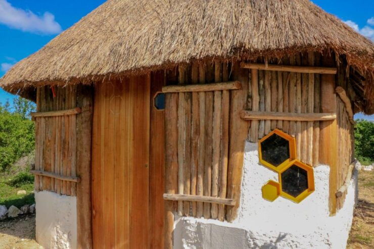 From Merida: Honey and Coconut Eco-Tour - Booking Details