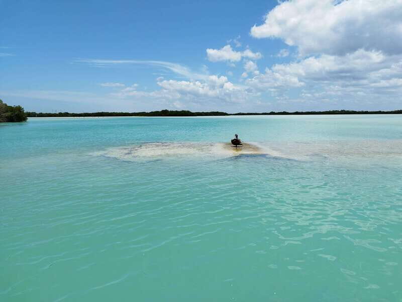 From Merida: Isla Columpios & Progreso - Good To Know