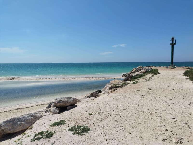 From Merida: Isla Columpios & Progreso - Insights from Reviewer Feedback