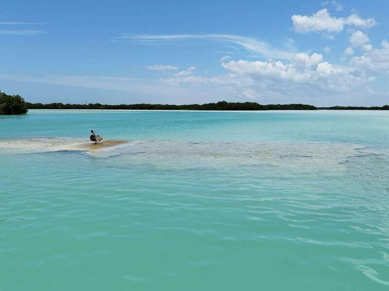 From Merida: Isla Columpios & Progreso - Final Thoughts