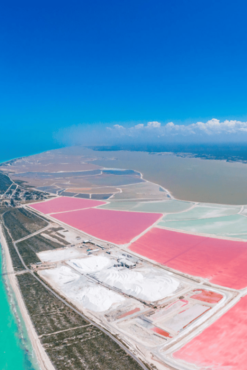 From Merida: Las Coloradas, Rio Lagartos & Beach Tour - Itinerary Highlights