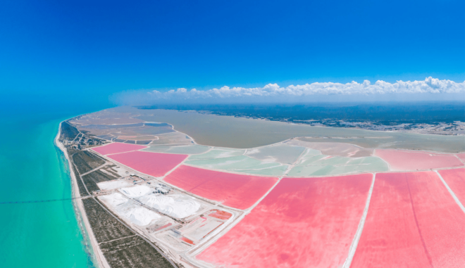 From Merida: Las Coloradas, Rio Lagartos & Beach Tour - Pickup Locations