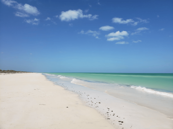 From Merida: Las Coloradas, Rio Lagartos & Beach Tour - Cancunito Beach