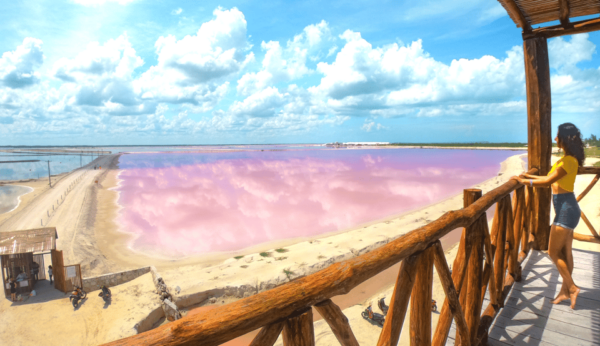 From Merida: Las Coloradas, Rio Lagartos & Beach Tour - Frequently Asked Questions