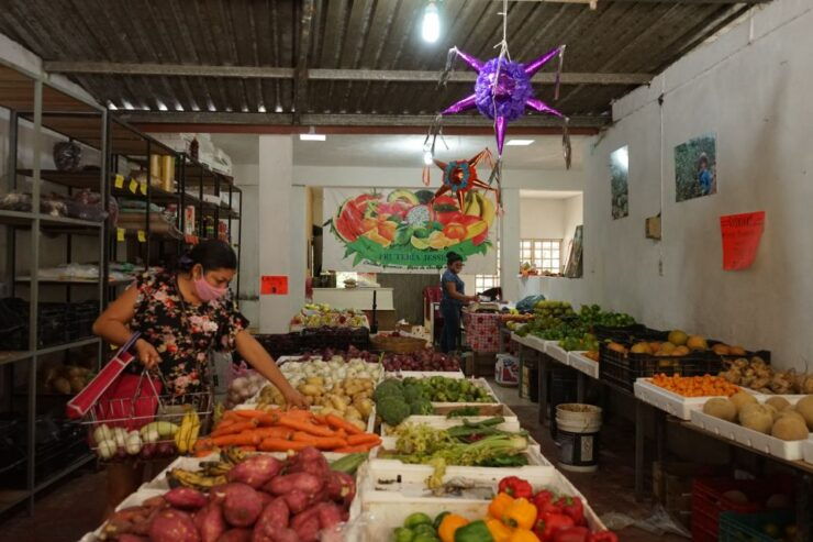 From Merida: Local Cooking Class & Shopping Tour in Tekit - Booking Details